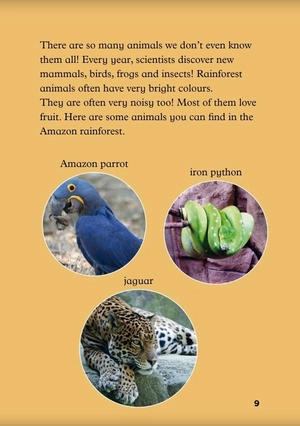 bộ young eli readers -the children and the forests - stage 4 a2 - downloadable audio files - Ảnh 10