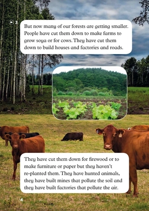 bộ young eli readers -the children and the forests - stage 4 a2 - downloadable audio files - Ảnh 5