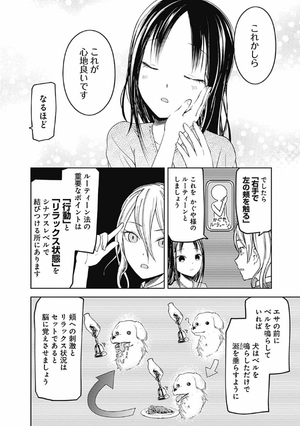 bộ かぐや様は告らせたい 9 ~天才たちの恋愛頭脳戦~ (ヤングジャンプコミックス) kagu ya sama wa kokurasetai 9 - Ảnh 12