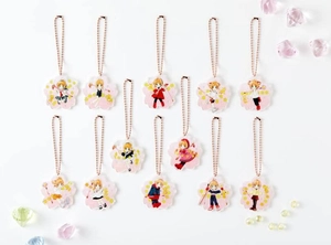 bộ さくらちゃん懐かしコスチュームアクキー全12点セット付き カードキャプターさくら クリアカード編 14 - captain sakura clearcard 14 (special edition) - Ảnh 4