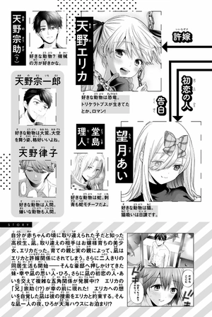 bộ カッコウの許嫁 17 - a couple of cuckoos 17 - Ảnh 5