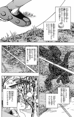 bộ ジョジョリオン 19 (ジャンプコミックス) - jojorion 19 - Ảnh 9