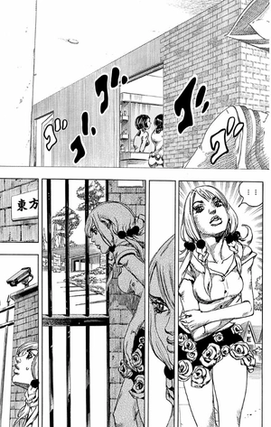 bộ ジョジョリオン 3 jojorion 3 - Ảnh 13