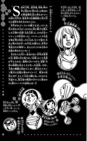 bộ ジョジョリオン 3 jojorion 3 - Ảnh 5