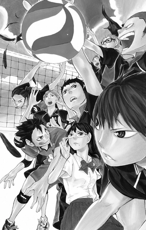 bộ ハイキュー!! 1 - haikyu!! 1 - Ảnh 8