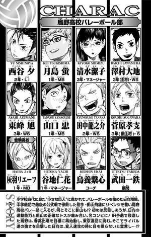 bộ ハイキュー!! 10 - haikyu!! 10 - Ảnh 5