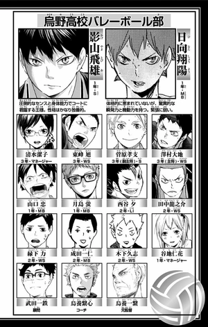 bộ ハイキュー!! 12 - haikyu!! 12 - Ảnh 4