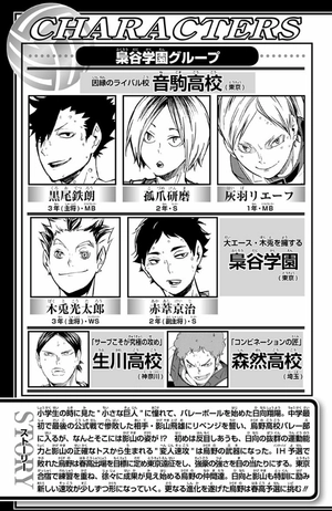 bộ ハイキュー!! 12 - haikyu!! 12 - Ảnh 5