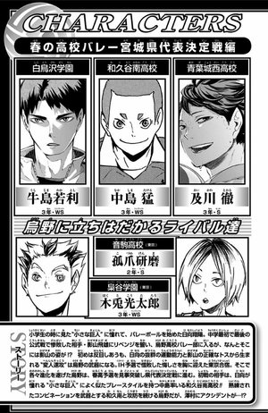 bộ ハイキュー!! 14 - haikyu!! 14 - Ảnh 5