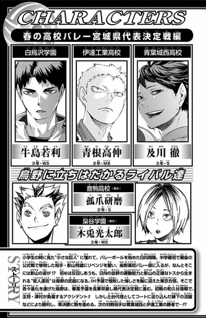 bộ ハイキュー!! 15 - haikyu!! 15 - Ảnh 5