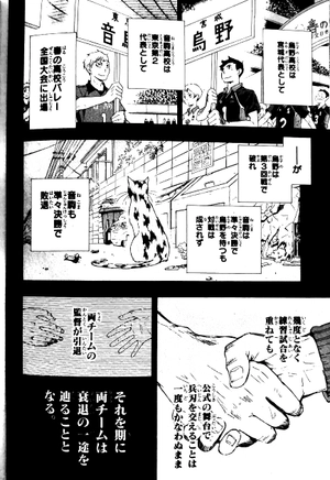 bộ ハイキュー!! 2: 集英社リミックス - haikyu!! 2 (shueisha jump remix comic) - Ảnh 5