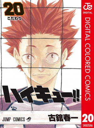 bộ ハイキュー!! 20 - haikyu!! 20 - Ảnh 2