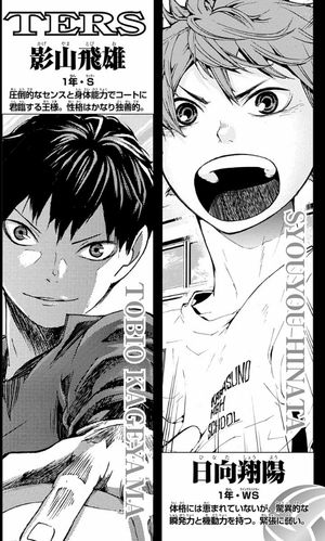 bộ ハイキュー!! 3 - haikyu!! 3 - Ảnh 4