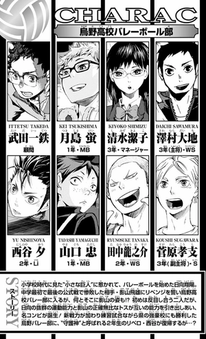bộ ハイキュー!! 3 - haikyu!! 3 - Ảnh 5