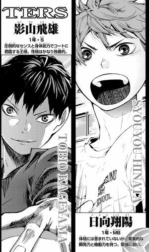 bộ ハイキュー!! 4 - haikyu!! 4 - Ảnh 4