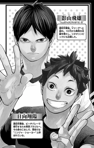 bộ ハイキュー!! 43 - haikyu!! 43 - Ảnh 4