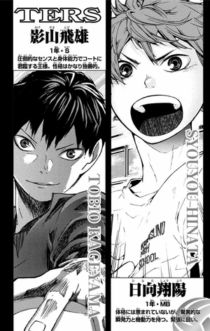 bộ ハイキュー!! 7 - haikyu!! 7 - Ảnh 4