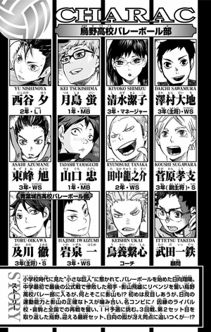 bộ ハイキュー!! 8 - haikyu!! 8 - Ảnh 5