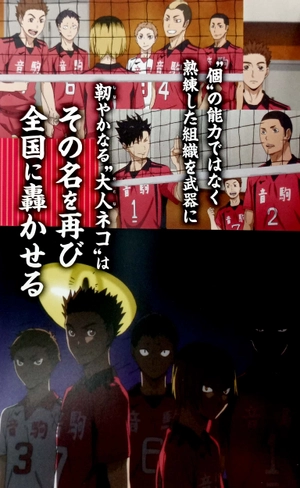 bộ ハイキュー!! tvアニメチームブック vol.2 音駒高校バレーボール部 - hai kyuu ! ! hai kyuu ! ! terebi anime chimu bukku 2 - Ảnh 4