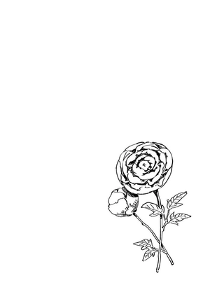 bộ ホタルの嫁入り - hotaru no yomeiri 1 - firefly wedding - Ảnh 8