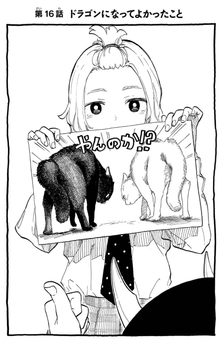 Bo
						
										
										ルリドラゴン - Ruri Dragon 3 - Ảnh 4