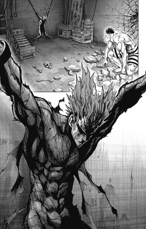 bộ ワンパンマン 25 - one punch man 25 - Ảnh 12