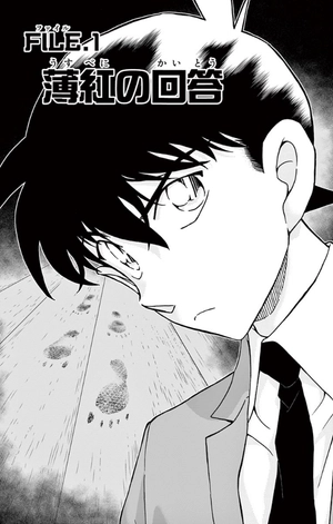 bộ 名探偵コナン 95 - detective conan 95 - Ảnh 5