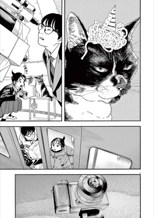 bộ 君は放課後インソムニア 11 - kimi wa hokago insomnia 11 - Ảnh 8