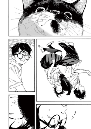 bộ 君は放課後インソムニア 2 - kimi wa hokago insomnia 2 - Ảnh 6