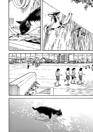 bộ 君は放課後インソムニア 3 - kimi wa hokago insomnia 3 - Ảnh 9