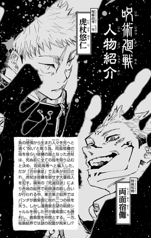 bộ 呪術廻戦 22 - jujutsu kaisen 22 - Ảnh 4