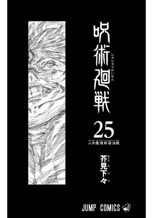 bộ 呪術廻戦 25 - jujutsu kaisen 25 - Ảnh 3