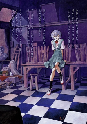 bộ 【愛蔵版】新世紀エヴァンゲリオン 2 - neon genesis evangelion (collector's edition) - Ảnh 5