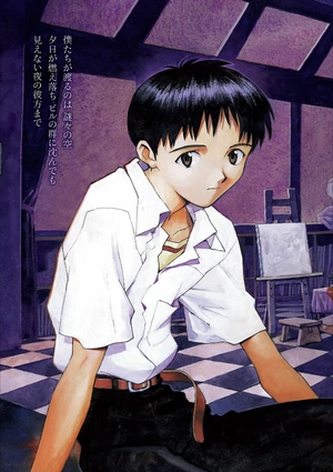 bộ 【愛蔵版】新世紀エヴァンゲリオン 2 - neon genesis evangelion (collector's edition) - Ảnh 6