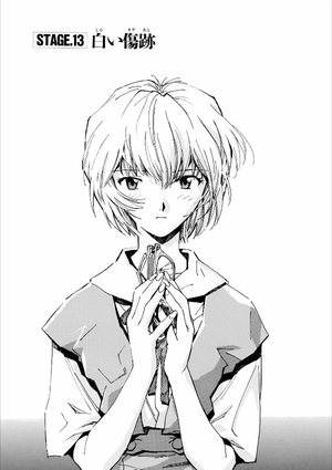 bộ 【愛蔵版】新世紀エヴァンゲリオン 2 - neon genesis evangelion (collector's edition) - Ảnh 8