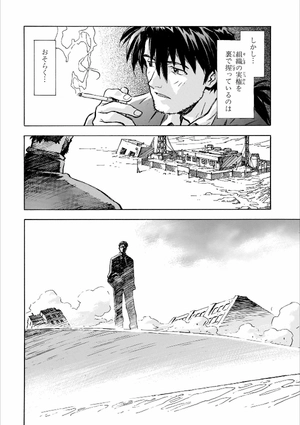 bộ 【愛蔵版】新世紀エヴァンゲリオン 3 - neon genesis evangelion (collector's edition) - Ảnh 12