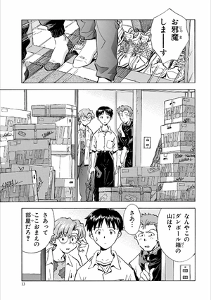 bộ 【愛蔵版】新世紀エヴァンゲリオン 3 - neon genesis evangelion (collector's edition) - Ảnh 15