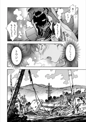 bộ 【愛蔵版】新世紀エヴァンゲリオン 4 - neon genesis evangelion (collector's edition) - Ảnh 13