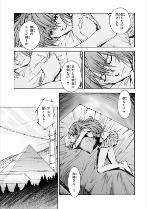 bộ 【愛蔵版】新世紀エヴァンゲリオン 5 - neon genesis evangelion (collector's edition) - Ảnh 11