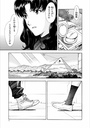 bộ 【愛蔵版】新世紀エヴァンゲリオン 6 - neon genesis evangelion (collector's edition) - Ảnh 11