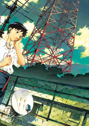 bộ 【愛蔵版】新世紀エヴァンゲリオン 6 - neon genesis evangelion (collector's edition) - Ảnh 4