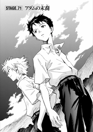 bộ 【愛蔵版】新世紀エヴァンゲリオン 6 - neon genesis evangelion (collector's edition) - Ảnh 7