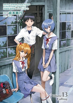 bộ 【愛蔵版】新世紀エヴァンゲリオン 7 - neon genesis evangelion (collector's edition) - Ảnh 4