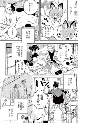 bộ 春風のエトランゼ 4 - harukaze no etranger - l'étranger du zéphyr - Ảnh 13