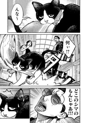 bộ 極主夫道 4 - gokushufudou - the way of the househusband - Ảnh 8