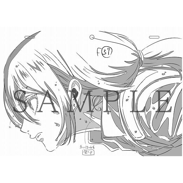 Bo
						
										
										進擊の巨人 立體機動線畵集 -今井有文-2 - Shingeki No Kyojin Rittai Kidou Senga Taka-Imai Abun 2 - Ảnh 5