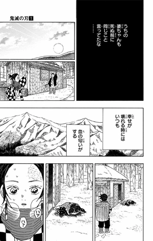 bộ 鬼滅の刃 1 - kimetsu no yaiba 1 - Ảnh 16