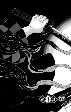 bộ 鬼滅の刃 1 - kimetsu no yaiba 1 - Ảnh 6