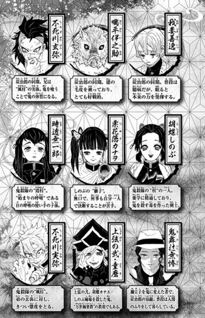 bộ 鬼滅の刃 19 (ジャンプコミックス) (日本語) kimetsu no yaiba 19 - Ảnh 5