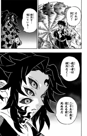 bộ 鬼滅の刃 20 : ジャンプコミックス - kimetsu no yaiba tsuujouban 20 - Ảnh 14